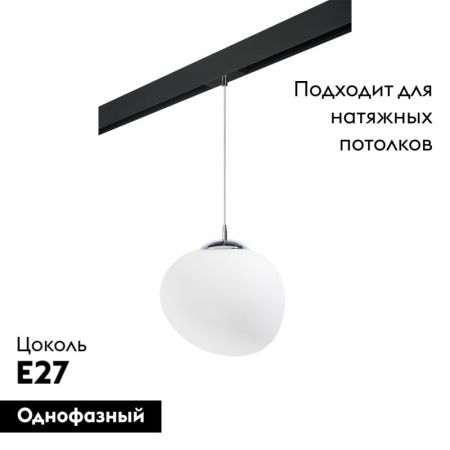 Трековый светильник Lightstar Arnia (Арниа) PRO805016