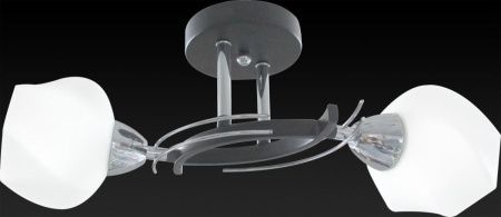 Светильник потолочный Toplight Lia (Лиа) TL7380X-02BC