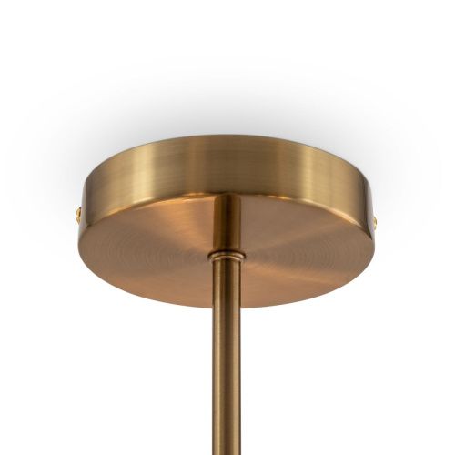 Светильник потолочный Freya Fiore FR5368CL-10BS - фото 4