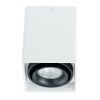 Светильник потолочный Arte Lamp Pictor (Пицтор) A5655PL-1WH