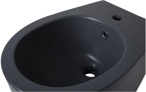 Биде Allen Brau Fantasy 4.11006.AN подвесное - фото 3