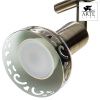 Спот Arte Lamp Focus (Фоцус) A5219PL-3AB