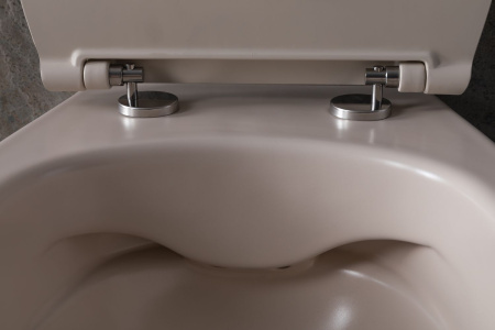 Чаша унитаза подвесная Allen Brau Fantasy 4.11004.IV цвет бежевый без сиденья безободковая каскадный смыв