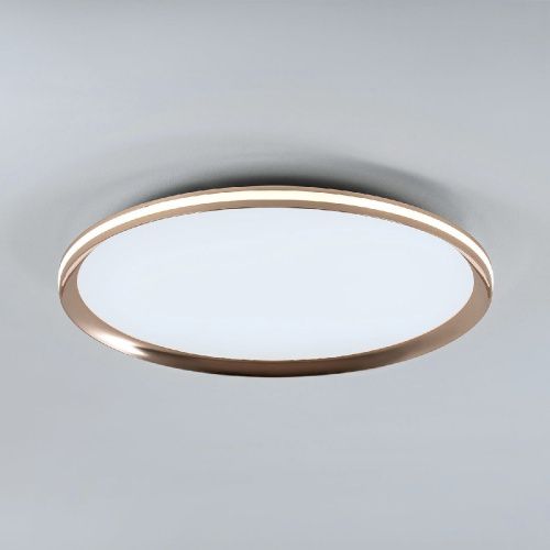 Светильник потолочный LED4U L3020-500 GD - фото 4