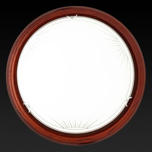 Светильник настенный Toplight Wifa (Вифа) TL9144Y-02PO - фото 2