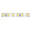 Светодиодная лента Maytoni Led Strip 10144