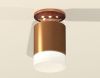 Светильник накладной Ambrella Light TECHNO SPOT (ТЕЦХНО СПОТ) XS6304153