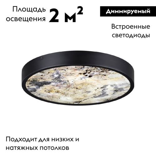 Настенно-потолочный светильник Odeon Light Bergi (Берги) 5064/24L - фото 2