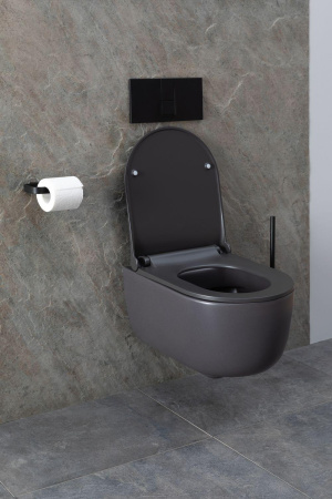 Чаша унитаза подвесная Allen Brau Priority 4.31002.AN цвет черный без сиденья безободковая каскадный смыв