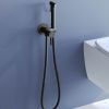 Гигиенический душ со смесителем RGW Shower Panels 511408206-04 черный