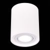 Светильник потолочный ST Luce ST156.502.01
