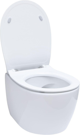 Чаша унитаза подвесная Allen Brau Fantasy 4.11004.20 цвет белый без сиденья безободковая каскадный смыв