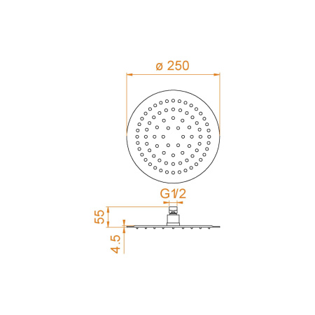 Верхний душ RGW Shower Panels (Шоувер панелс) 21148125-01 25х25 хром