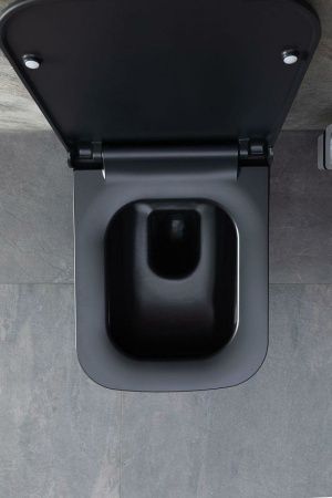 Чаша унитаза подвесная Allen Brau Infinity 4.21011.31 цвет черный без сиденья безободковая каскадный смыв