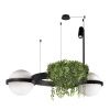 Светильник подвесной Loft It Jardin 10121/2