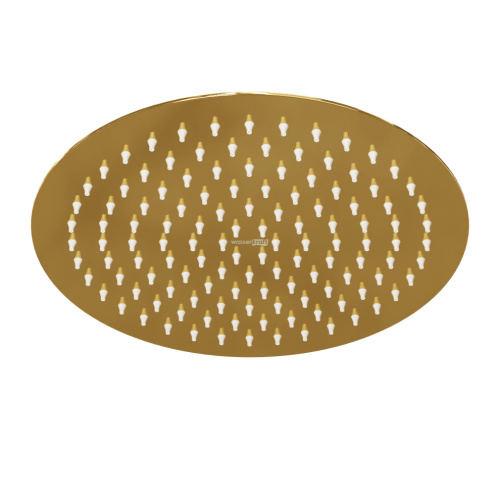 Верхний душ WasserKRAFT Sauer 7100 A208 золото - фото 2