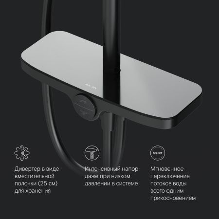 Душевая стойка Am.Pm Like F0780222 настенная цвет черный