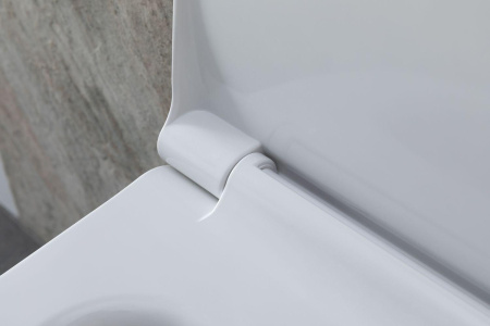 Чаша унитаза подвесная Allen Brau Priority 4.31002.20 цвет белый без сиденья безободковая каскадный смыв