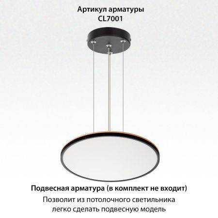 Светильник потолочный Citilux Norma (Норма) CL749501