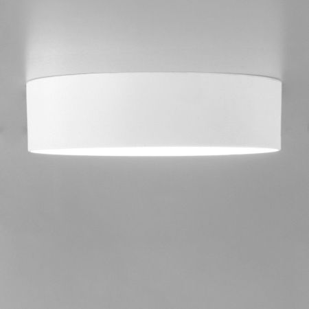 Светильник накладной Citilux Тао CL712120N