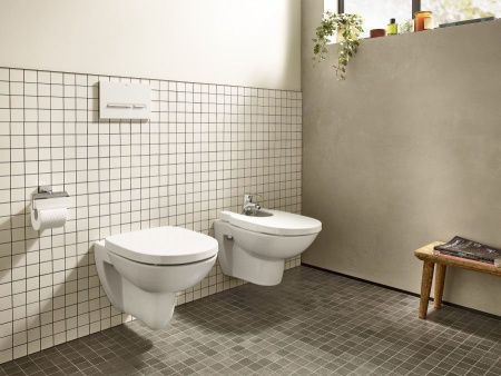 Чаша унитаза подвесная Roca Debba 7346998000 цвет белый без сиденья безободковая смыв торнадо