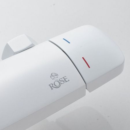 Душевая стойка Rose R3936C настенная цвет белый