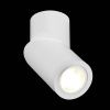 Светильник точечный ST Luce ST650 ST650.502.01