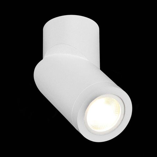 Светильник точечный ST Luce ST650 ST650.502.01 - фото 4