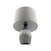 Настольная лампа Lumion Comfi (Цомфи) 8118/1T