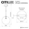 Светильник подвесной Citilux Orton (Ортон) CL202021
