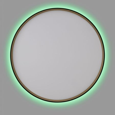 Светильник потолочный музыкальный Citilux Etalon (Еталон) CL750501R