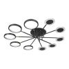 Светильник потолочный Loft It Megan 10164M Black