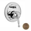 Смеситель для ванны Cisal Arcana Royal AY00210027 встраиваемый в стену бронза (внешняя часть)