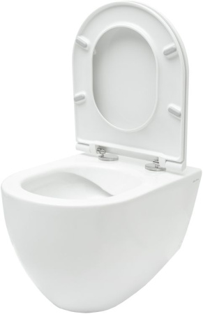 Чаша унитаза подвесная Allen Brau Reality 4.32006.20 цвет белый без сиденья безободковая каскадный смыв