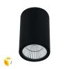 Уличный потолочный светильник Arte Lamp Torcular (Торцулар) A1307PF-1BK