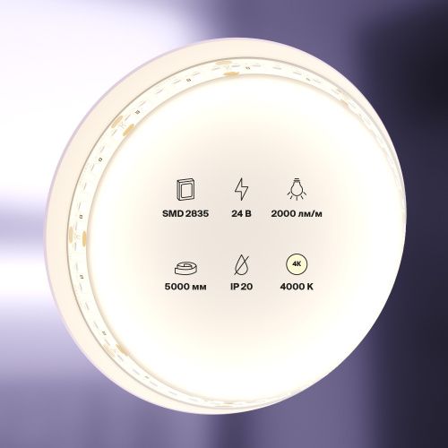 Светодиодная лента Maytoni Led Strip 10155 - фото 3