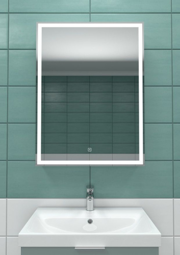 Зеркало-шкаф Art&Max TECHNO AM-Tec-550-800-1D-R-DS-F 55х80