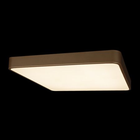 Светильник потолочный Loft It Flims 10228/D