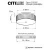 Люстра потолочная Citilux Портал CL32415G1