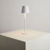 Уличный настольный светильник Arte Lamp Fuyue (Фуыуе) A1614LT-1WH
