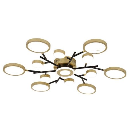Светильник потолочный F-Promo Hybrid (Хыбрид) 4686-13C