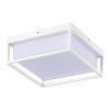 Уличный потолочный светильник ST Luce Cubo (Цубо) SL9517.502.01
