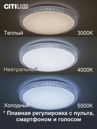 Люстра потолочная Citilux Альпина Смарт CL718A60G