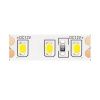 Светодиодная лента Maytoni Led Strip 10112