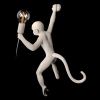 Светильник настенный Loft It Monkey 10314W/B