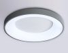 Светильник потолочный Ambrella Light Design (Десигн) FZ1402