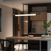 Светильник подвесной ImperiumLoft 204083-23