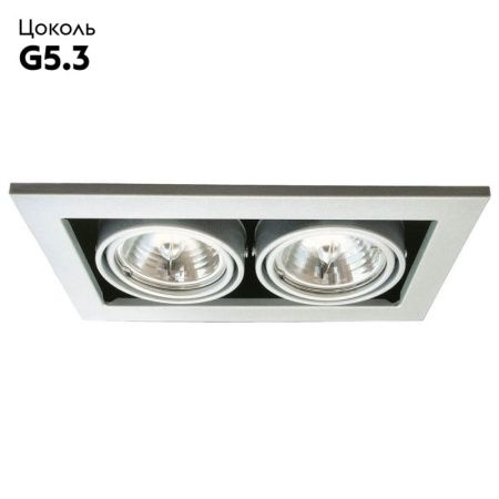 Светильник встраиваемый Arte Lamp Cardani Medio (Цардани Медио) A5930PL-2SI