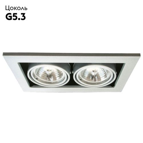 Светильник встраиваемый Arte Lamp Cardani Medio (Цардани Медио) A5930PL-2SI - фото 2