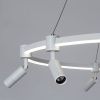 Люстра подвесная Arte Lamp Ring (Ринг) A2186SP-1WH